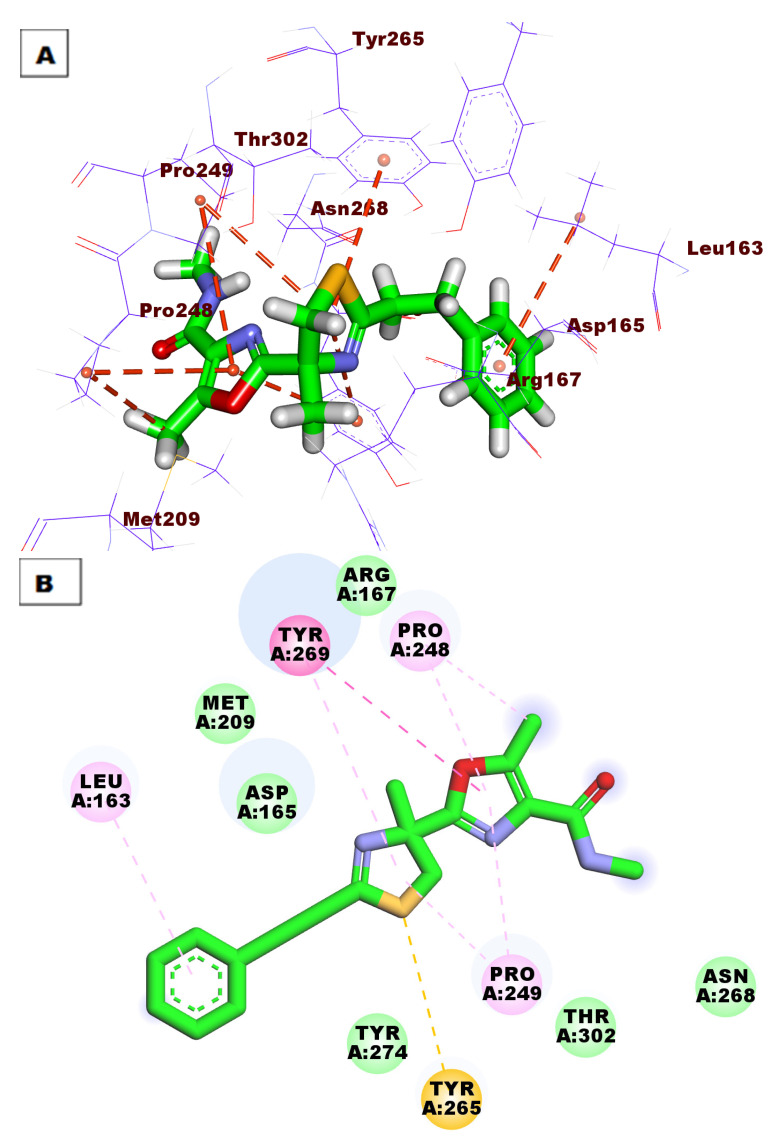 Figure 11