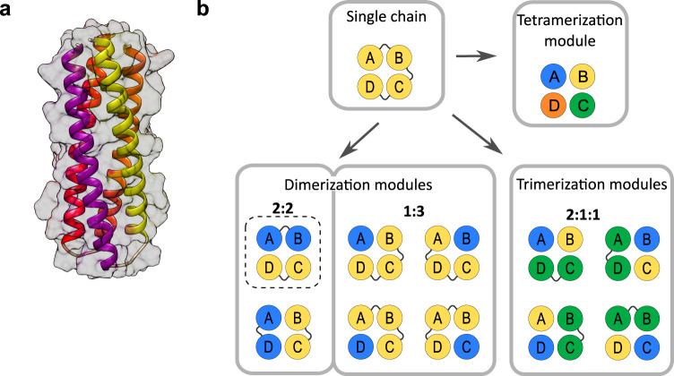 Fig. 1