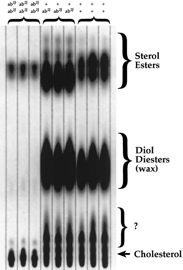 Figure 11.