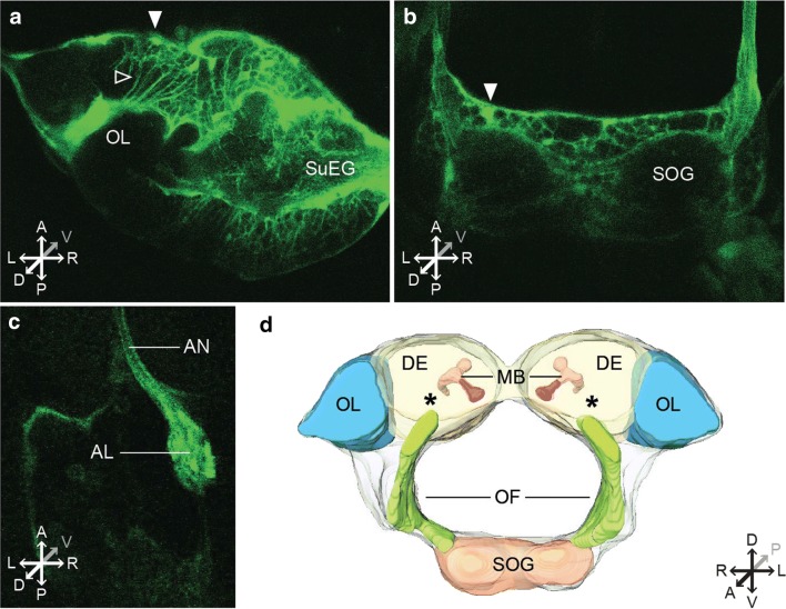 Fig. 3