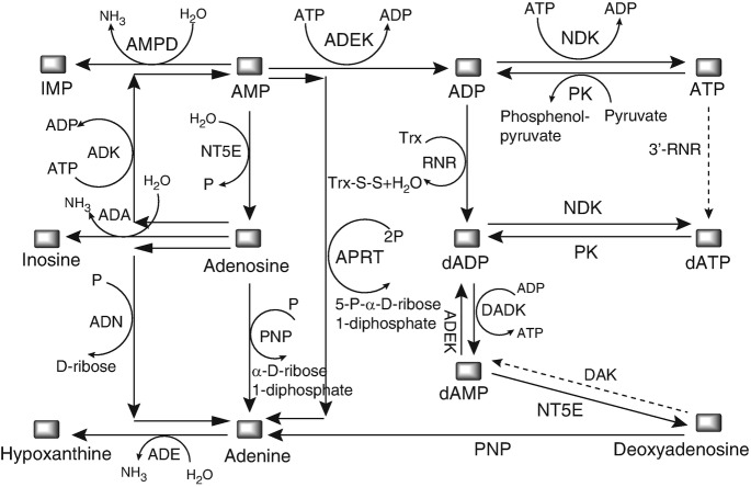 Fig. 16.2