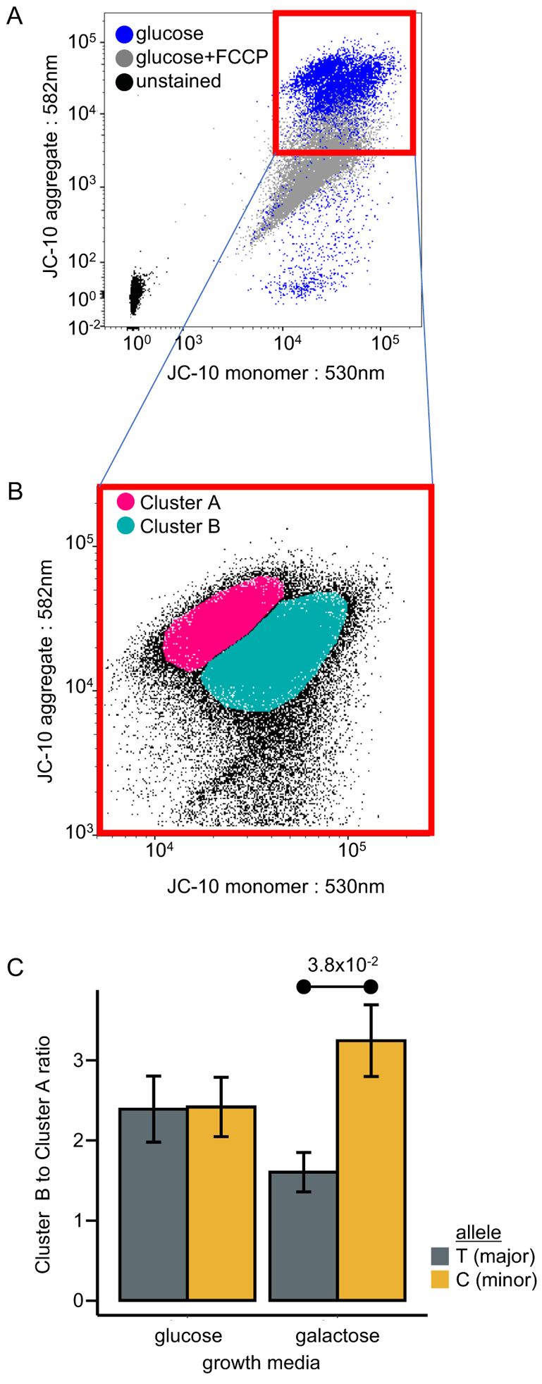 Figure 5.