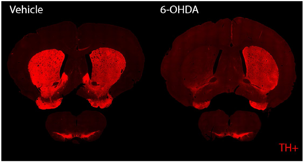 Fig. 2.