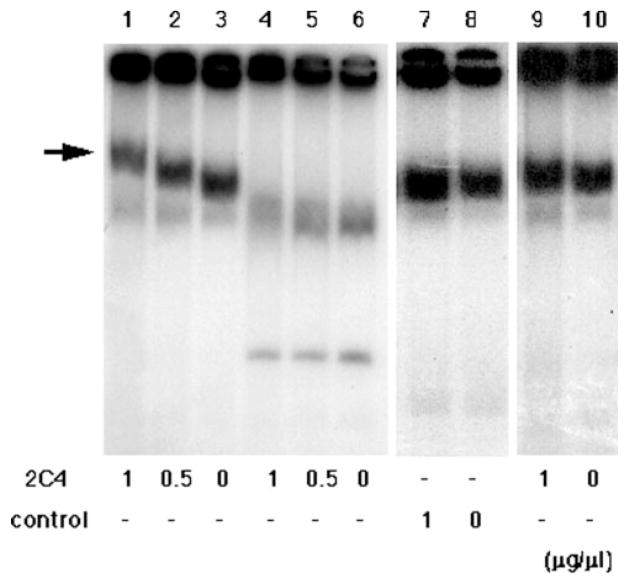 FIG. 6