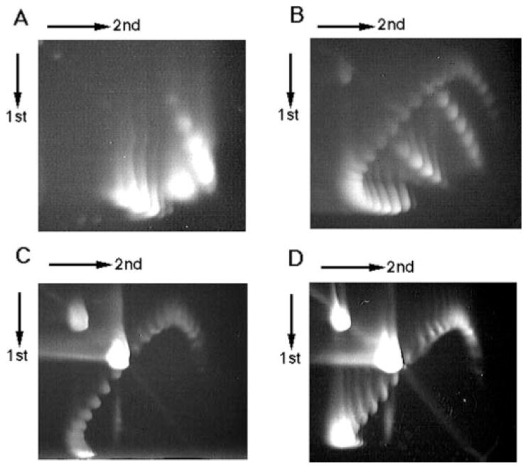 FIG. 3