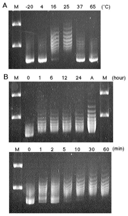 FIG. 5