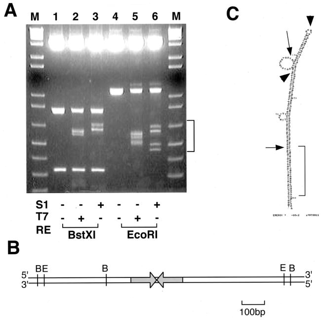 FIG. 4