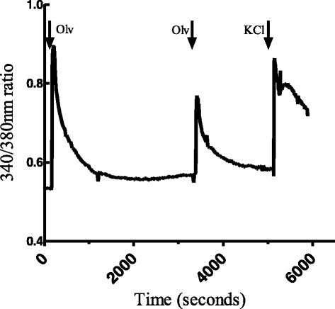 Fig. 8