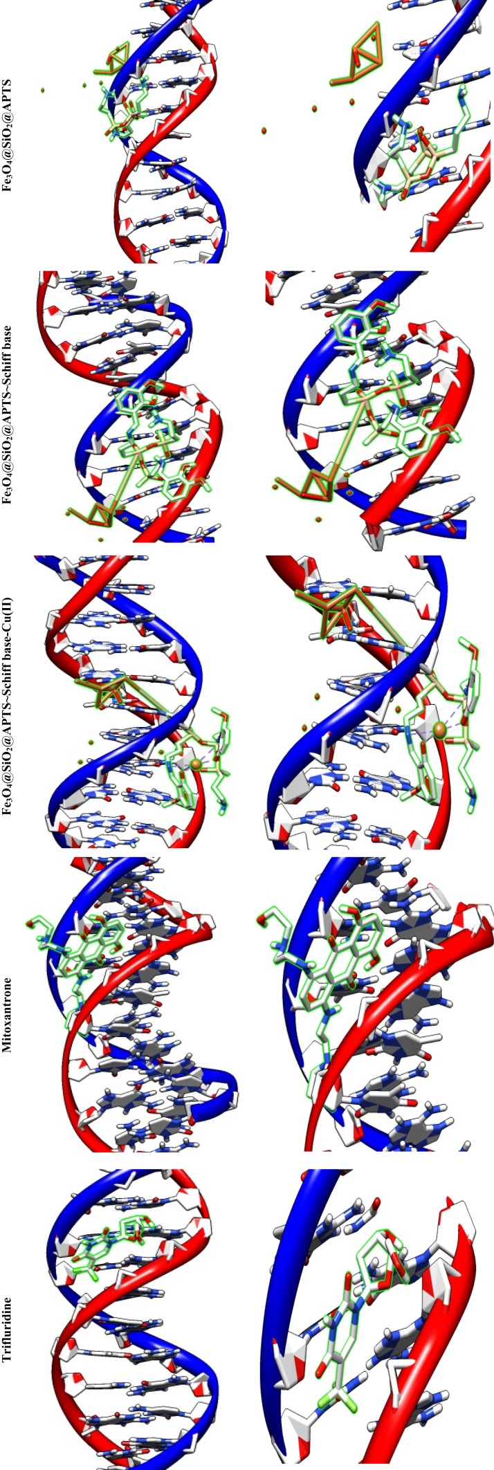 Figure 13