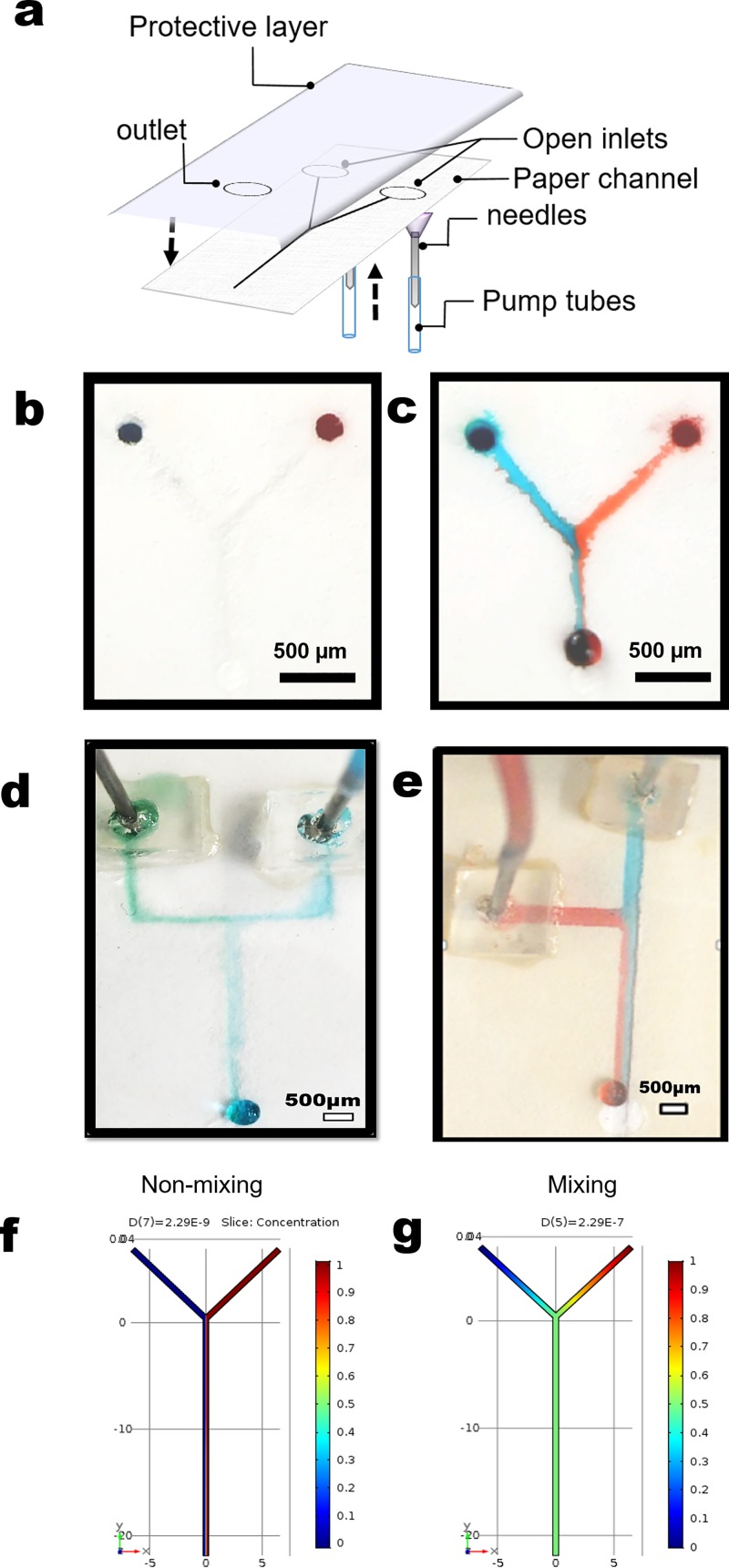 FIG. 3.