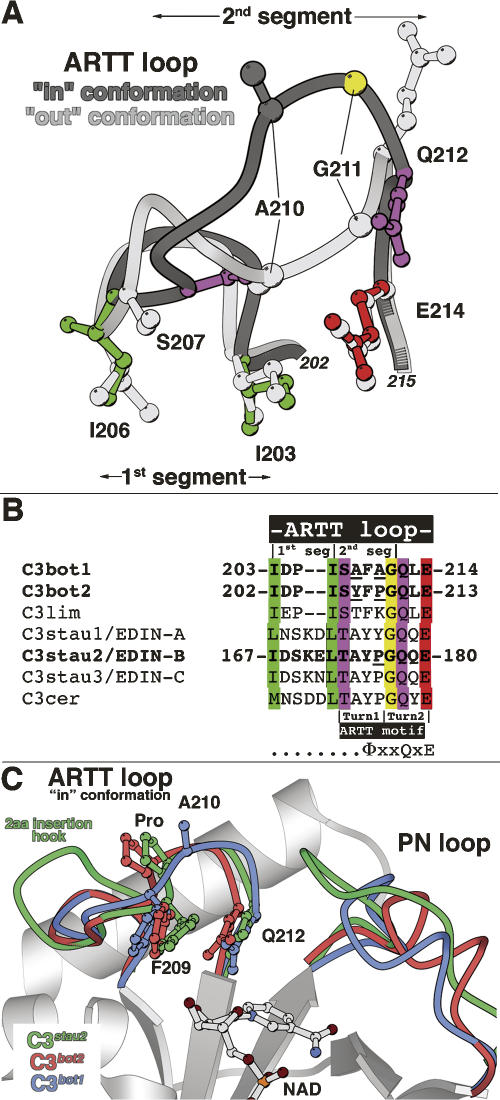 Figure 5.