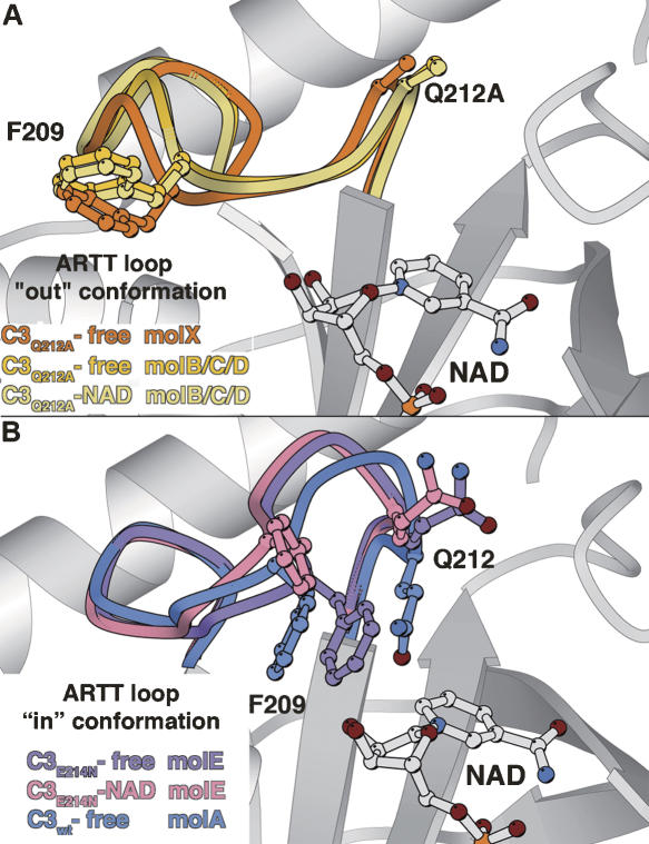 Figure 3.