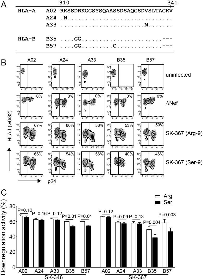 FIG 5