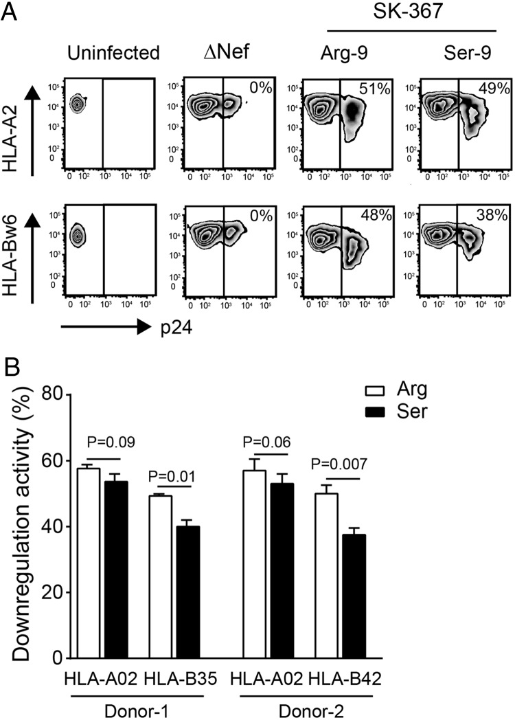 FIG 6