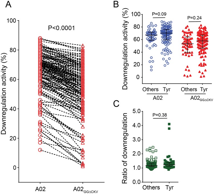 FIG 3