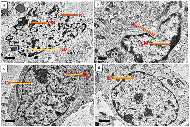 Fig 7