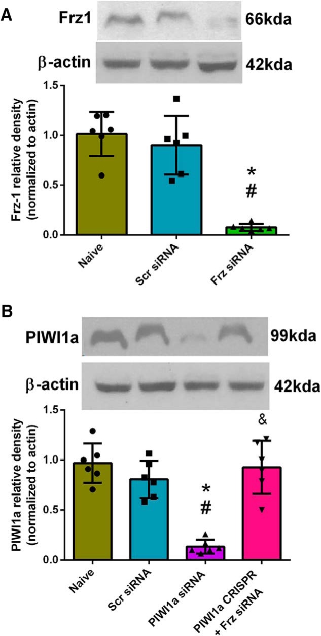 Figure 12.