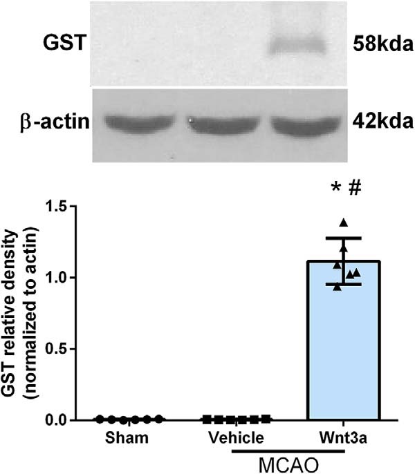 Figure 13.