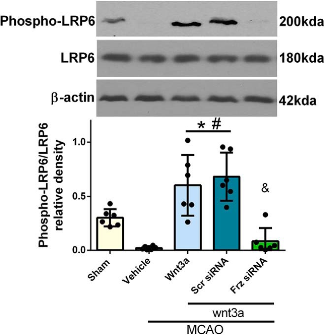 Figure 14.