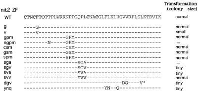 FIG. 3