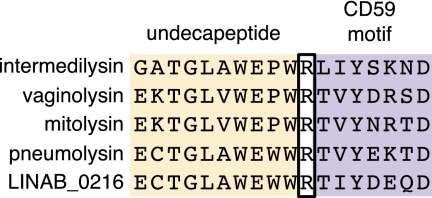 Fig. 5.