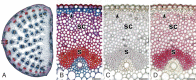 Fig. 6.