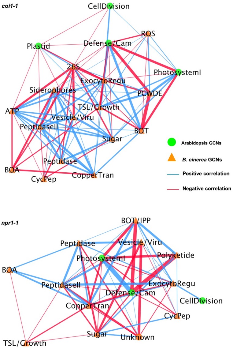 Figure 9—figure supplement 1.