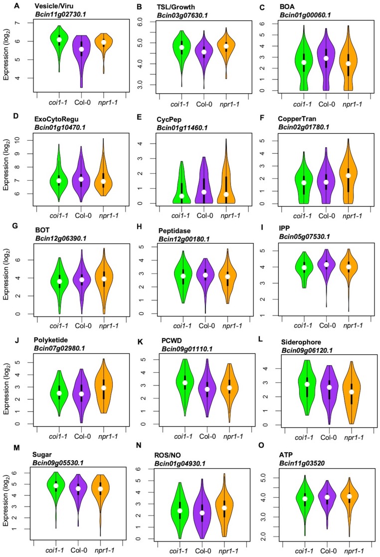 Figure 7—figure supplement 4.