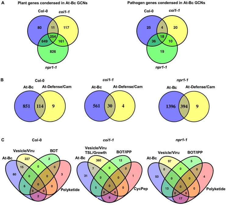 Figure 8—figure supplement 1.