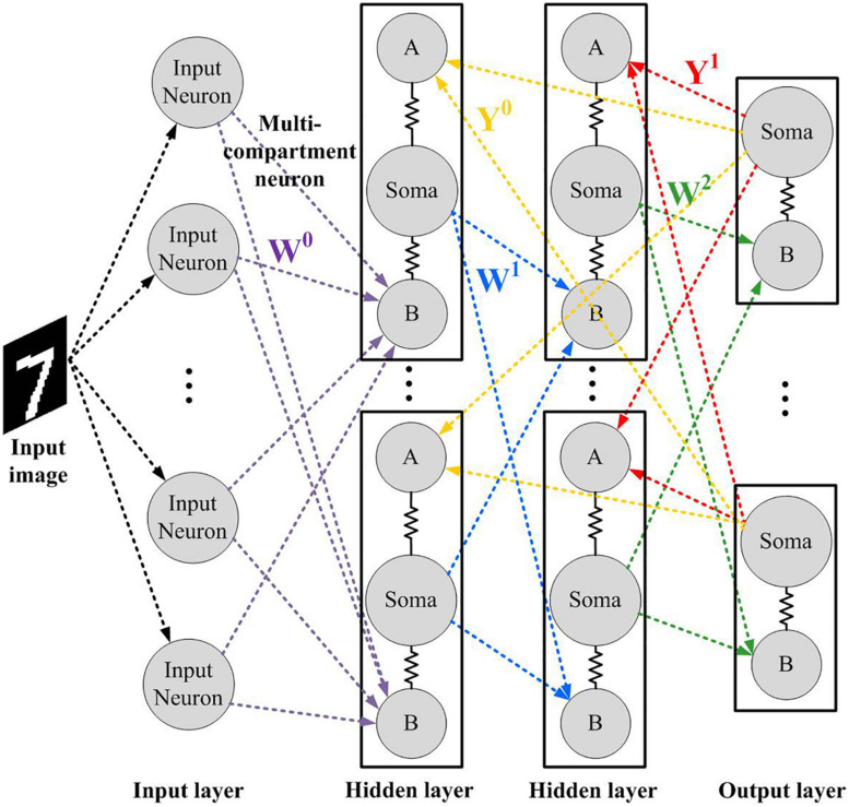 FIGURE 2