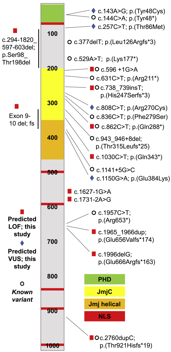 Figure 5