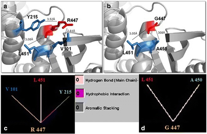 Fig. 4