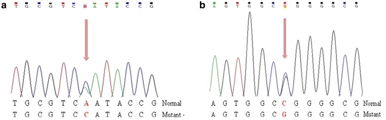 Fig. 2