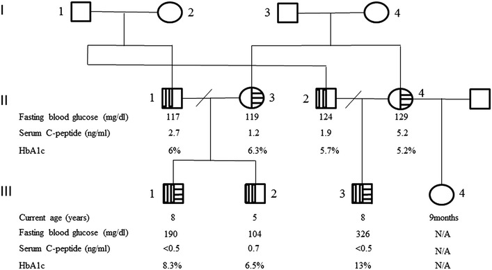 Fig. 1