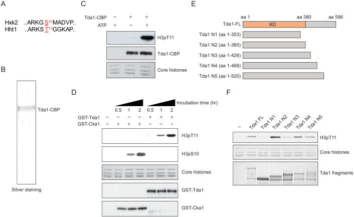Figure 4.