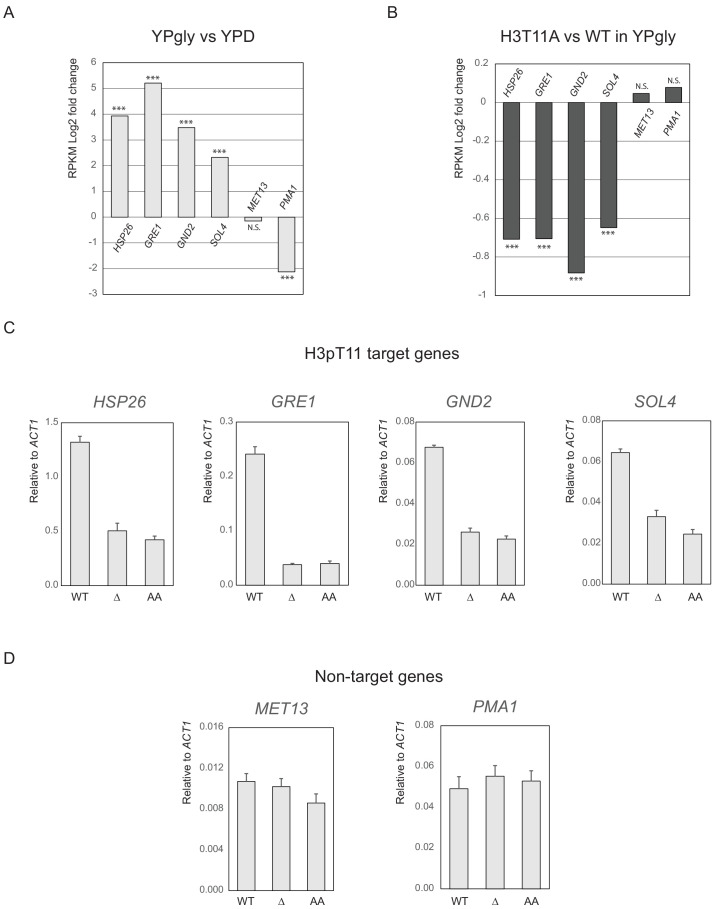 Figure 6—figure supplement 2.