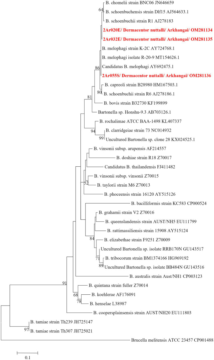 Figure 5