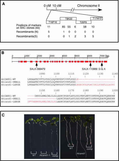 Figure 3.