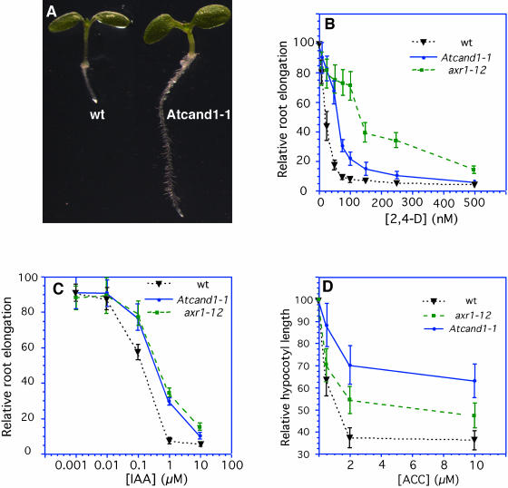 Figure 2.