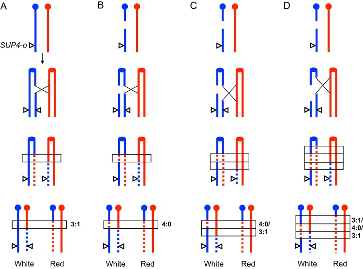 FIG 1