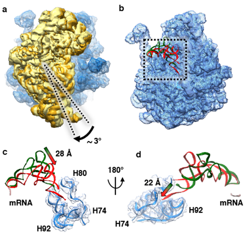 Figure 3: