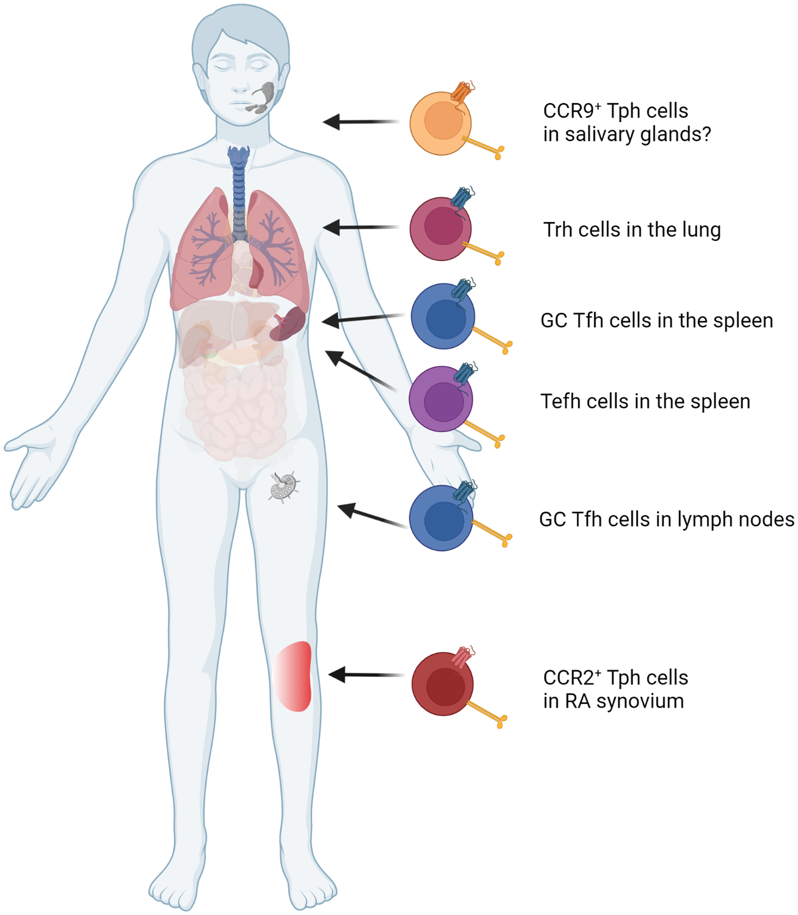 Figure 2.