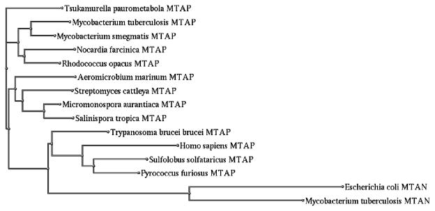 Fig. 9