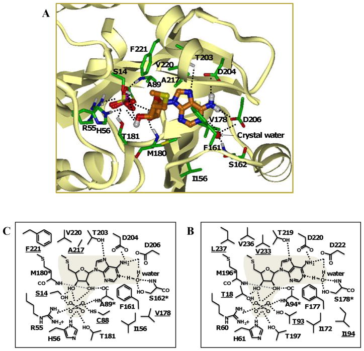 Fig. 10