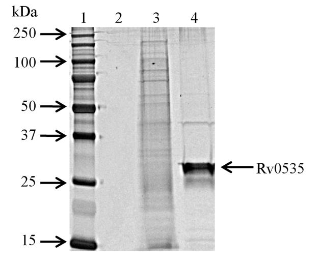 Fig. 5