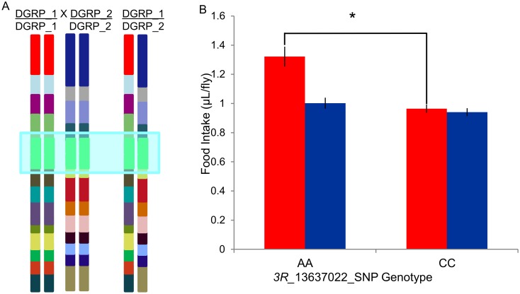 Fig 3