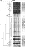 FIG 1