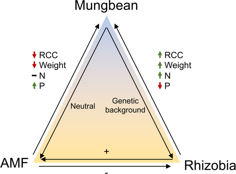 Fig. 7