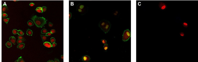 Figure 6.