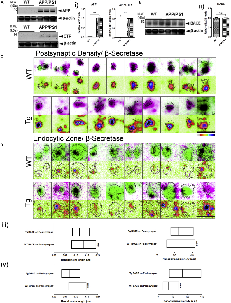 Figure 4